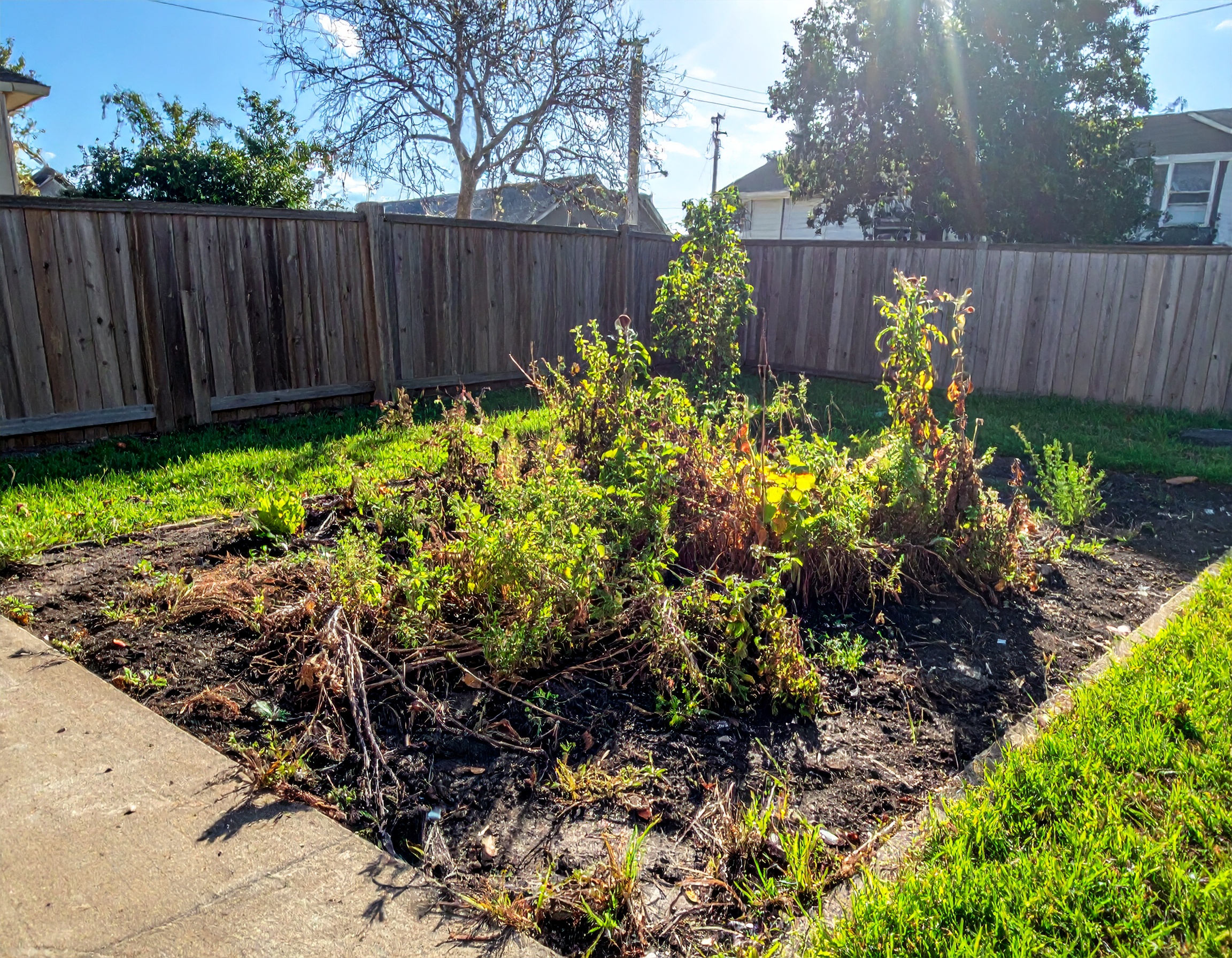map[class:w-full h-full object-cover src:images/before-after/flower_bed_maintenance_before.jpg]