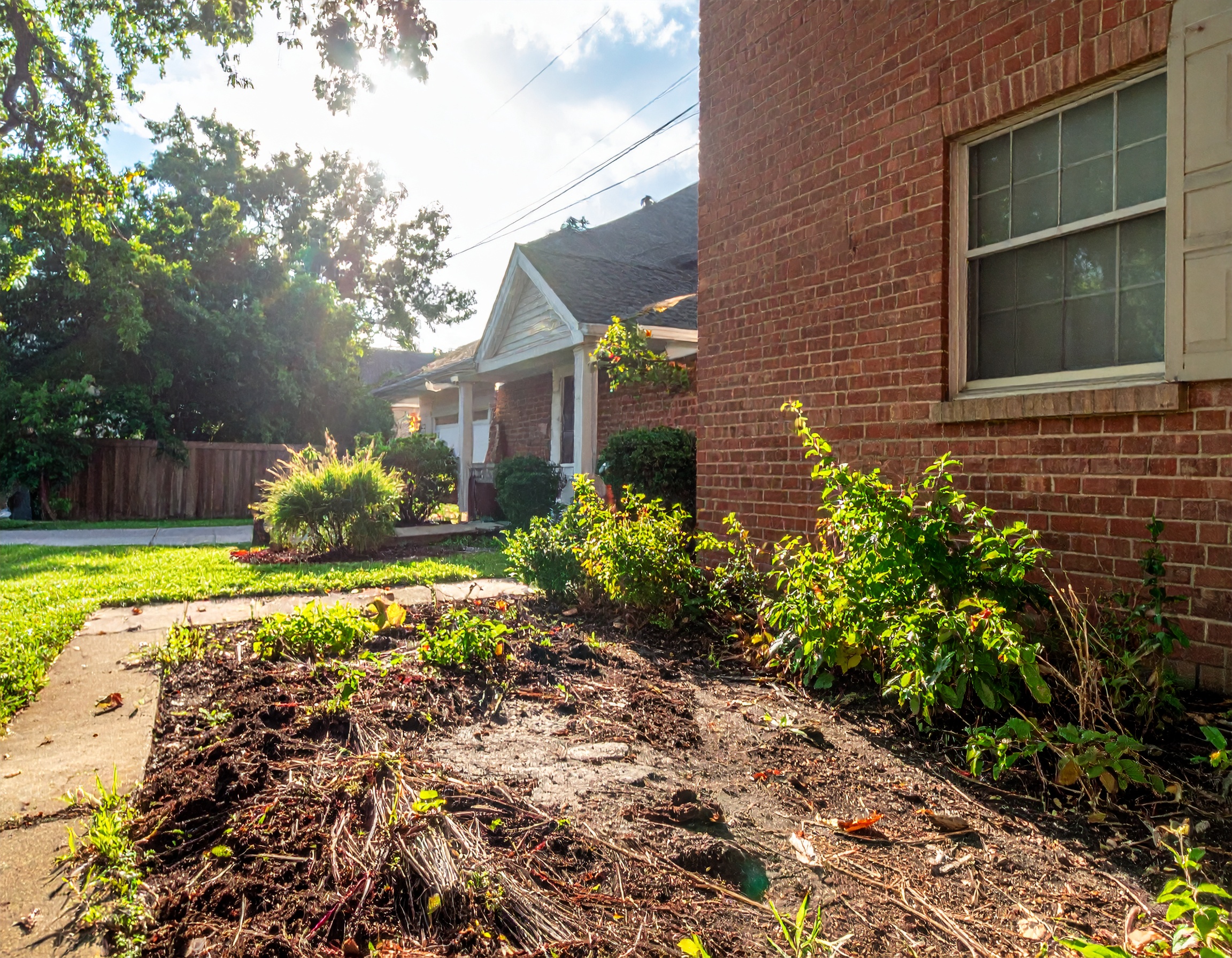 map[class:w-full h-full object-cover src:images/before-after/mulch_installation_before.jpg]