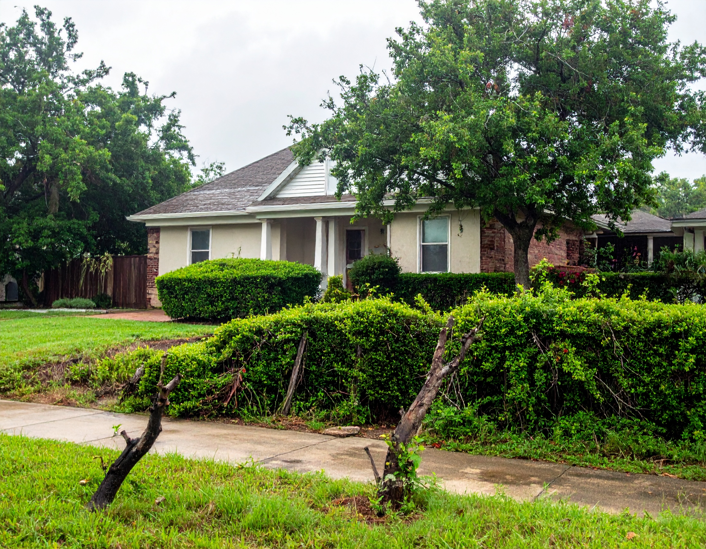 map[class:w-full h-full object-cover src:images/before-after/shrub_hedge_trimming_before.jpg]